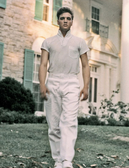 Graceland & Attractions Transportation